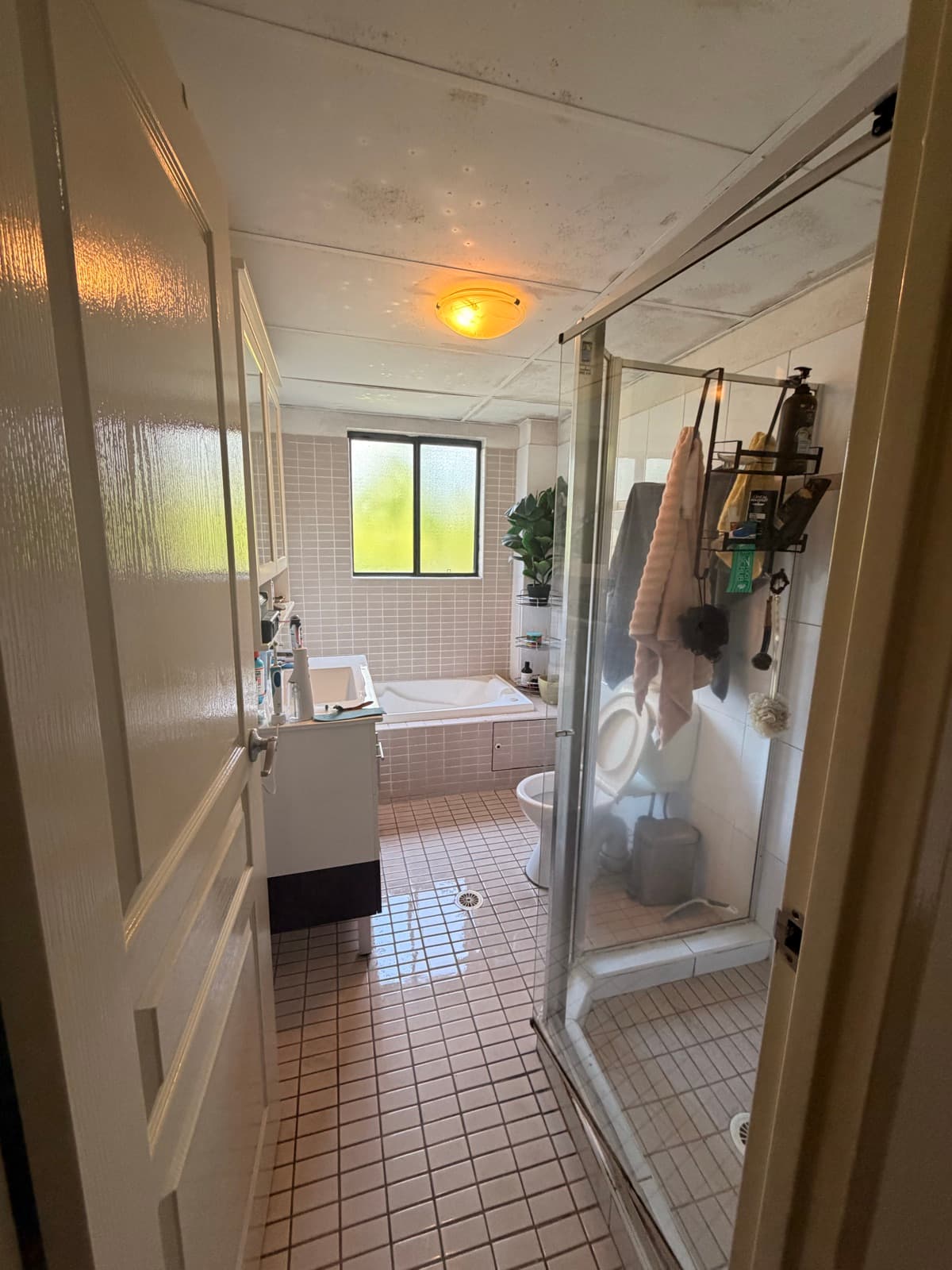 Bathroom & Shower — before