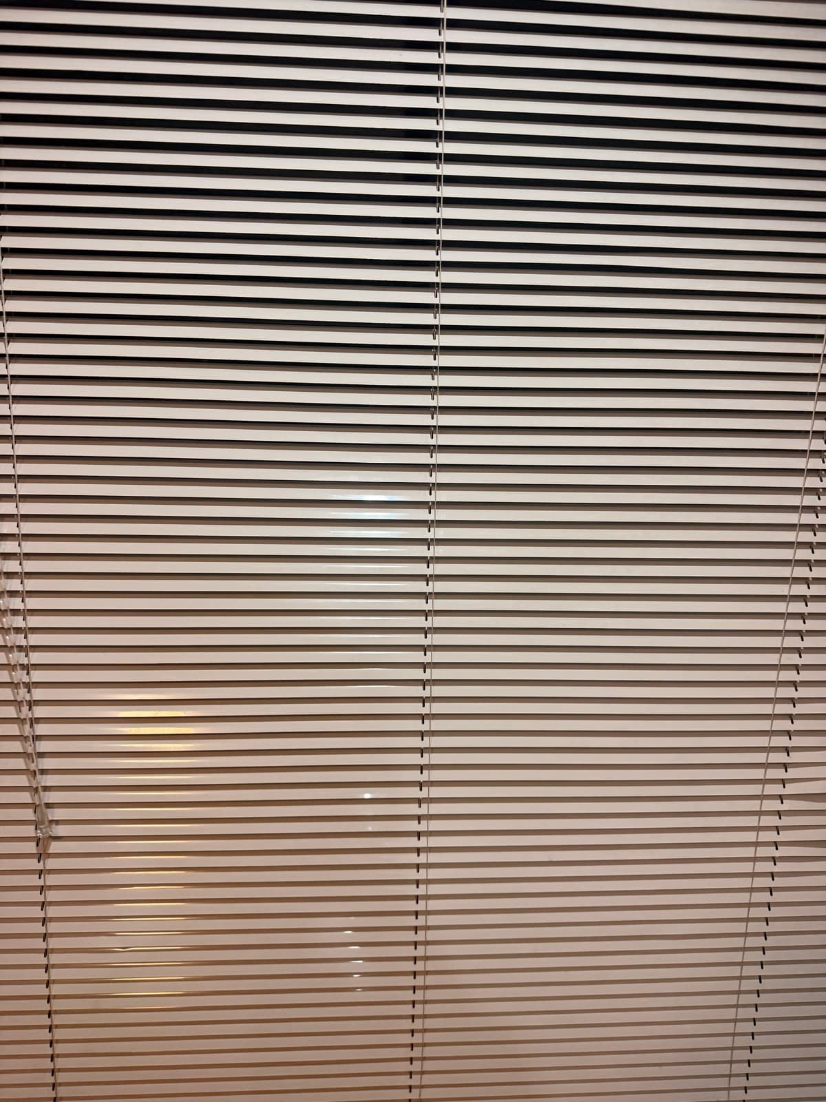 Venetian Blinds — after